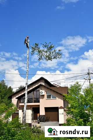 Спил/подрезка/кронирование деревьев Чайковский - изображение 1