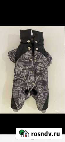 Одежда для собак мелких пород Бугуруслан - изображение 1