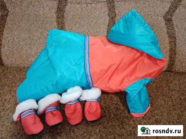 Комбинезон для маленькой собачки Нижний Тагил - изображение 1