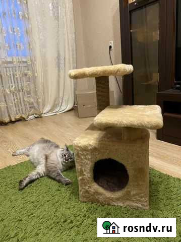 Домик для кошек Волжский - изображение 1