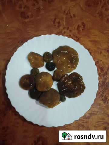 Рыжики солёные (еловые) Пермь - изображение 1