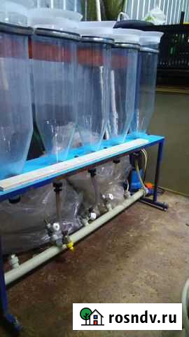 Малечник для рыб Менделеево - изображение 1