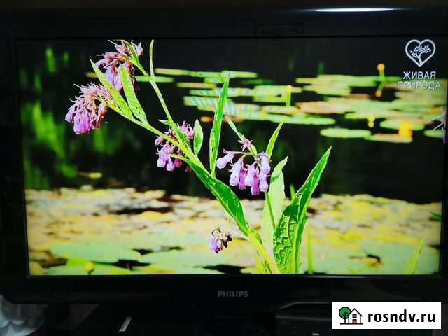 Телевизор Philips 80 см Тольятти - изображение 1