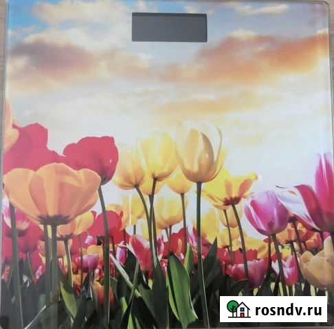 Весы напольные электронные Гатчина - изображение 1