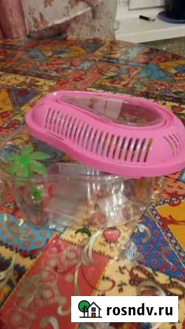 Аквариум для черепашки Муром - изображение 1