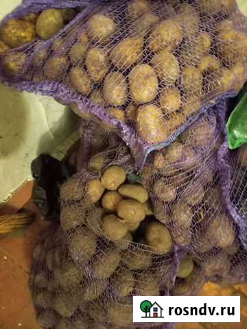 Картофель с доставкой Щербинка - изображение 1