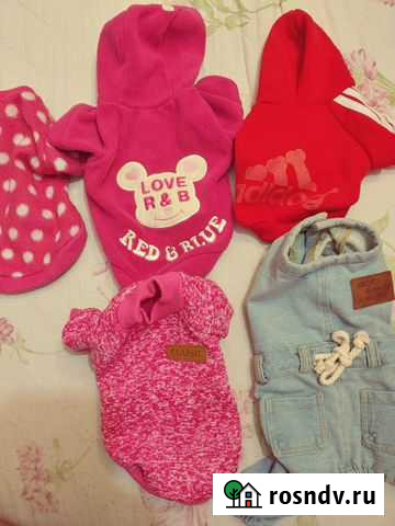 Одежда для маленьких собак, разные модели см фото Борисоглебск - изображение 1