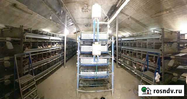 Профессиональные клетки для кур несушек со скидкой Пущино - изображение 1