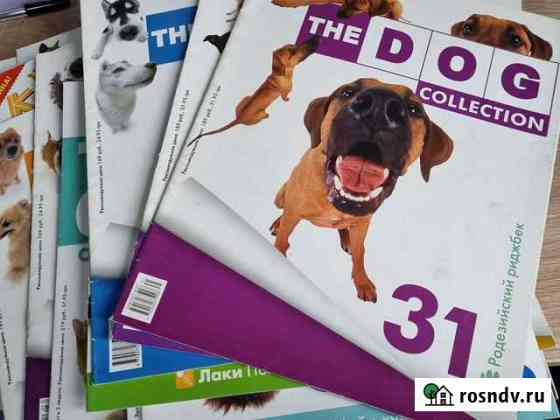 Журналы The dog collection The cat collection Новокузнецк