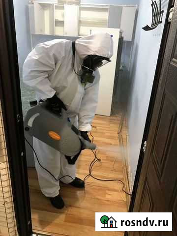 Уничтожение насекомых Тараканов, клопов, клещей Ростов-на-Дону - изображение 1