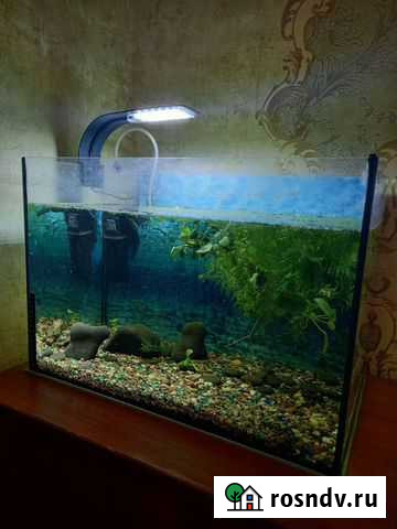 Аквариум Калининград - изображение 1