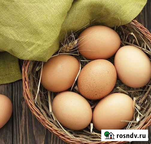 Яйца Тара - изображение 1