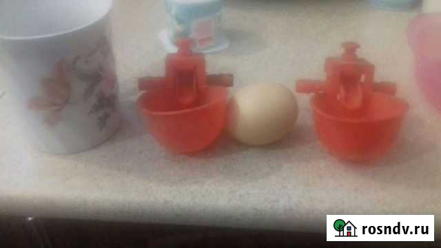 Поилки для кур Черкесск - изображение 1