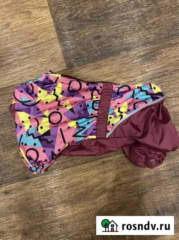 Дождевик для маленьких собак Орехово-Зуево - изображение 1