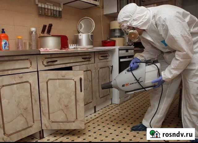 Уничтожение тараканов, клопов и др Волжский - изображение 1