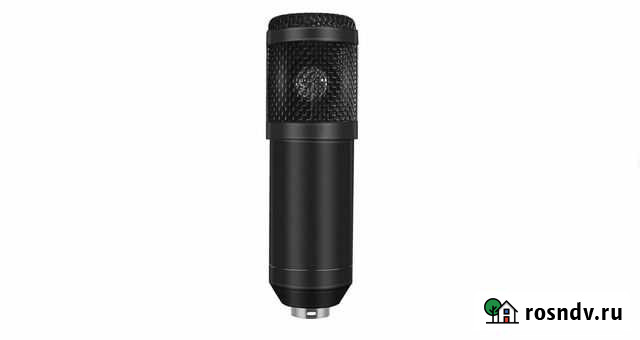BM 800 студийный конденсаторный микрофон Екатеринбург - изображение 1