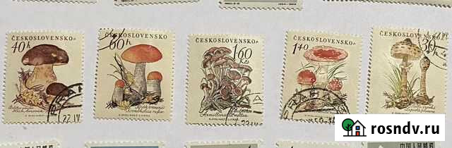 Чехословакия 1958 коллекция Грибы гашеные марки Санкт-Петербург - изображение 1