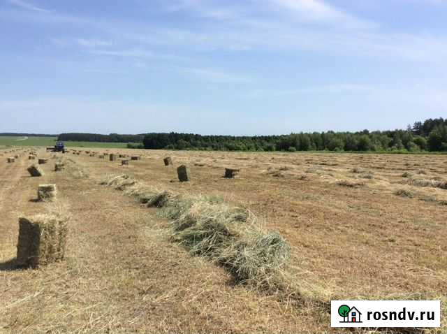 Сено в тюках, травосмесь люцерна, мятник, райграс Новосиль - изображение 1
