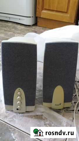 Компьютерная акустика Genius SP-G16 Энгельс - изображение 1