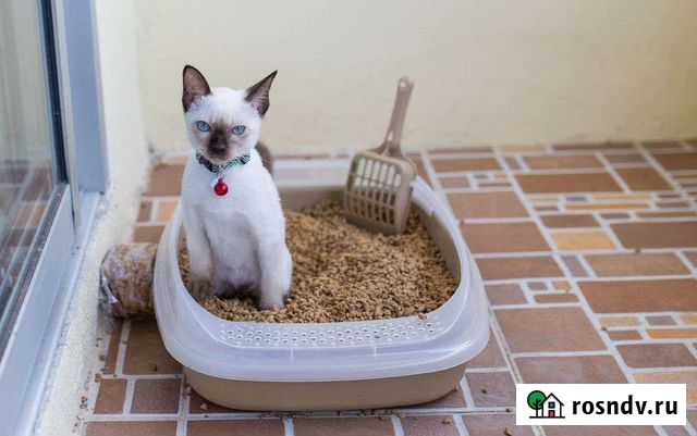 Наполнитель (пилеты) для кошачьего туалета Пенза - изображение 1