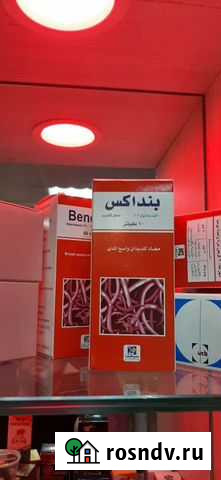 Просто Грозный - изображение 1