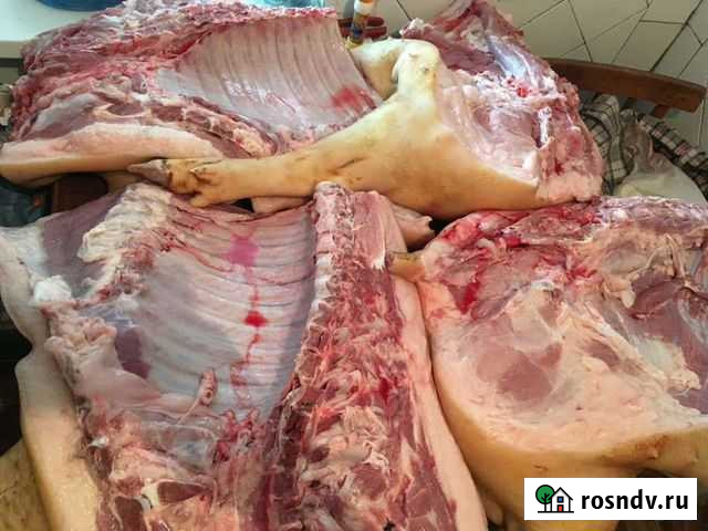 Домашние мясо и сало Белореченск - изображение 1