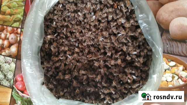 Подмор Лабинск - изображение 1