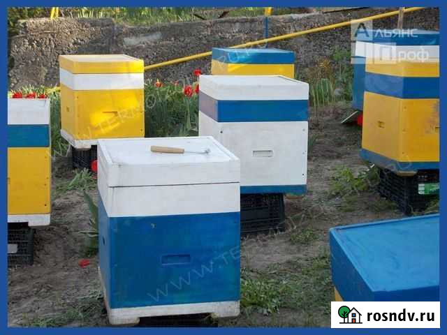 Компоненты пенополиуретана для пчелинных ульев ппу Короча - изображение 1