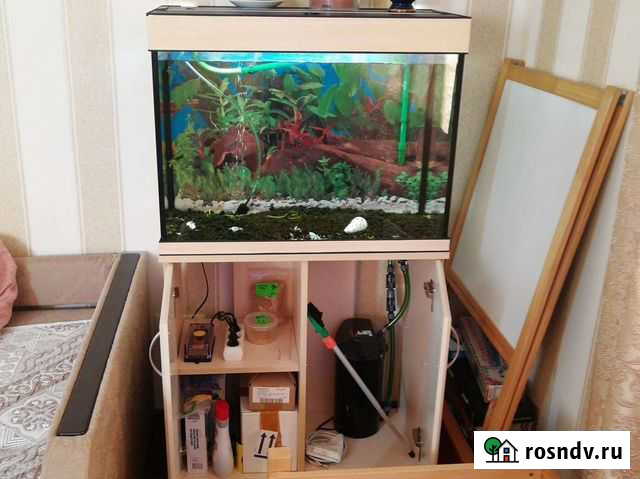 Аквариум Домодедово - изображение 1