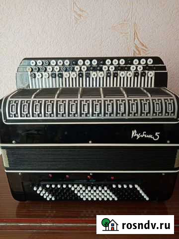 Баян Рубин Альметьевск - изображение 1