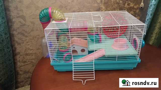 Клетки для грызунов бу Ангарск - изображение 1