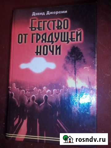 Бегство от грядущей ночи Боровичи - изображение 1