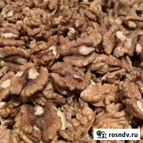 Орех грецкий Староминская - изображение 1