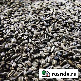 Семена подсолнечника Путятино - изображение 1