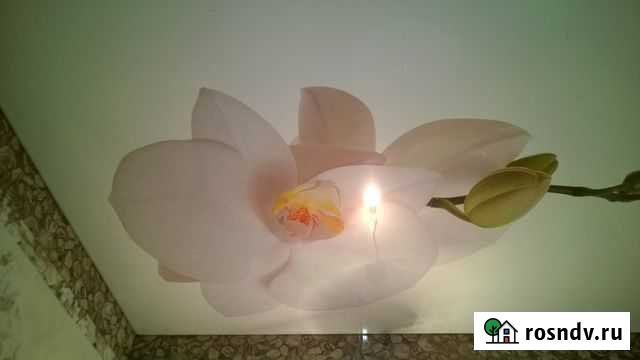 Натяжные потолки Чита - изображение 1