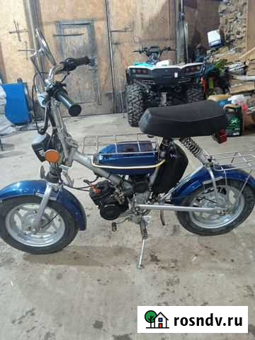 Птаха зид 36 Копейск - изображение 1