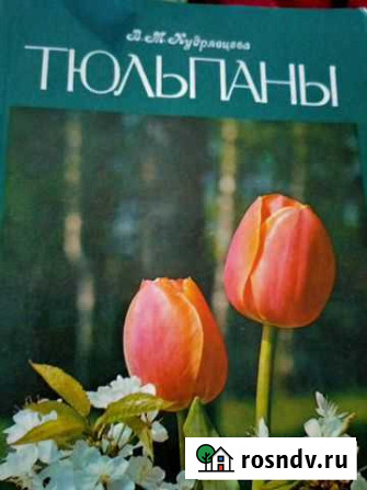 Книга Клематисы Дзержинск - изображение 1