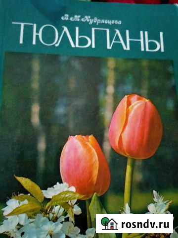 Книга Клематисы Дзержинск - изображение 1