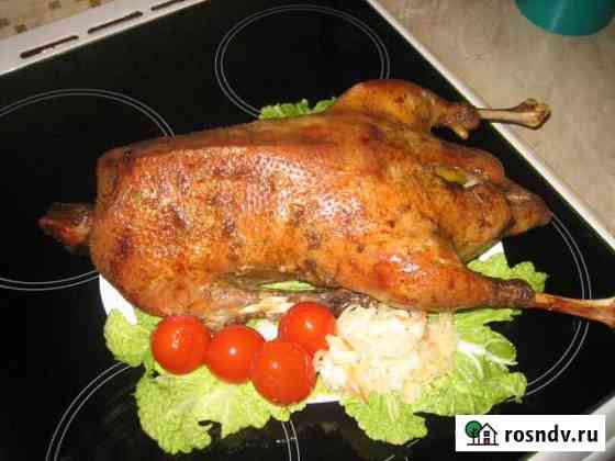 Домашнее мясо птицы Белокуриха