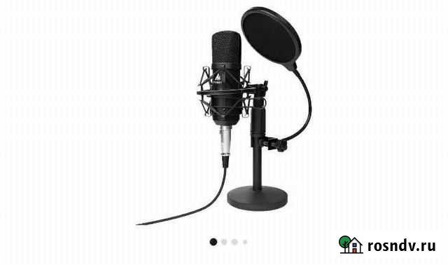 Студийный микрофон Краснобродский - изображение 1