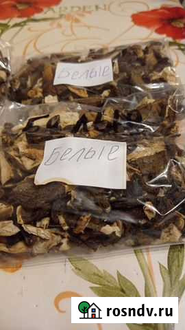 Грибы белые Тамбов - изображение 1