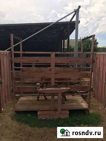 Весы Новоорск - изображение 1