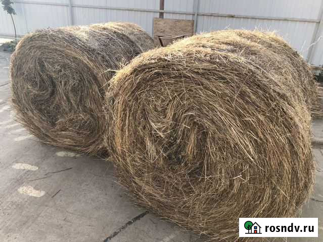 Сено Ангарск - изображение 1