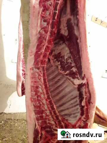 Домашная Свинина Азов - изображение 1