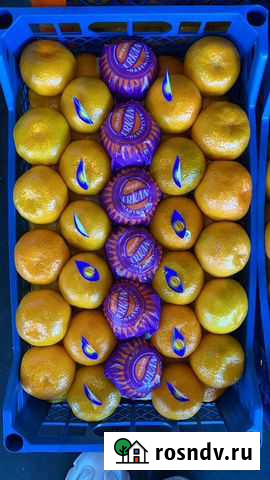 Мандарины оптом Мосрентген - изображение 1