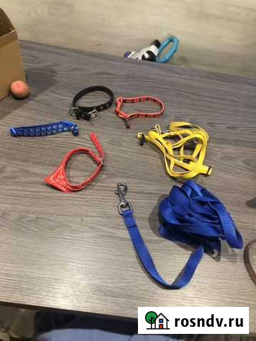 Ошейники Домодедово - изображение 1