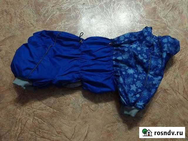 Комбинезон для собаки Липецк - изображение 1