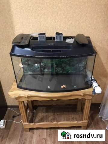 Аквариум Торжок - изображение 1