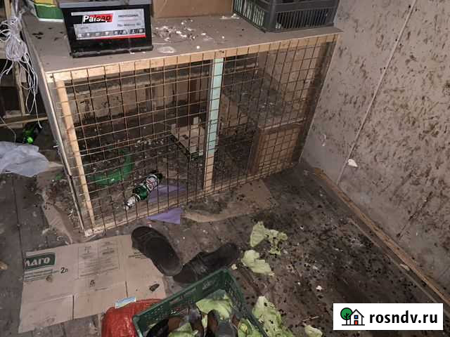 Курятник Выборг - изображение 1