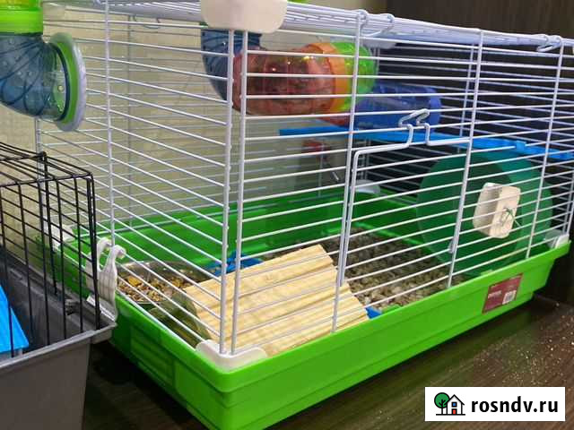 Хомячки с клеткой Долгопрудный - изображение 1